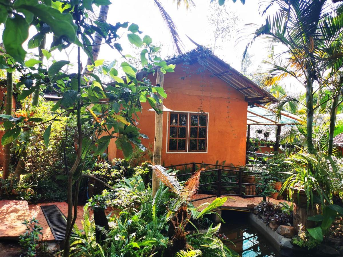 บ้านดินโฮมสเตย์ ปางอุ๋ง Ban Huai Makhuea Som Экстерьер фото